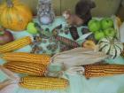 DSC01607