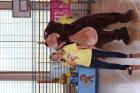 IMG_0196 (800x533)