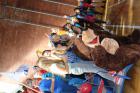 IMG_0241 (800x533)