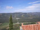 DSC00917 (800x600)