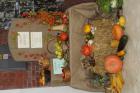 IMG_0607 (800x533)