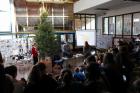 IMG_0960 (800x533)