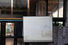 IMG_0972 (800x533)