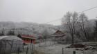 DSC04597