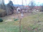 Lenovo_A1000_IMG_20170303_094620