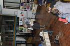 IMG_2486 (800x533)