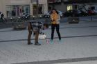 IMG_2982 (640x427)