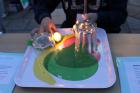 IMG_2998 (640x427)