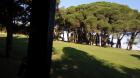 6 UP BRIJUNI (38)