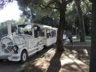 6 BRIJUNI (1)