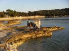 10 X SPORT I IGRE (17)