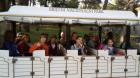 6X BRIJUNI (75)