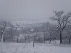 Picture 005