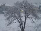 Picture 006