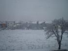 Picture 007