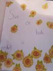 Danijela Prian, 7.R