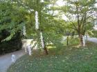 DSC00308