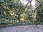 DSC00312
