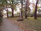 DSC00316