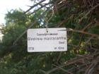 DSC00347