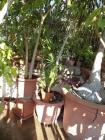 DSC00354