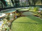 DSC00359