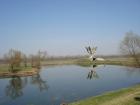 M_DSC02617