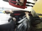 DSC05652