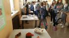 20160926_093545_resized_1 (800x450)