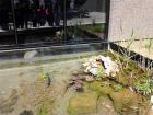 IMG_20170424_104740