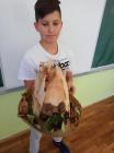 IMG_20191105_105425