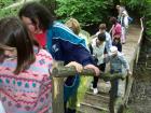 Picture 018
