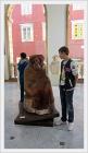 IMG_3951