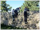 IMG_4106 - Copy