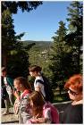 Picture-264