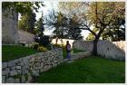 Picture-136