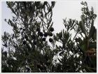 20161013_095306