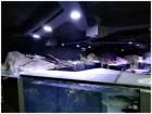 IMG_20180514_111138