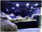 IMG_20180514_111452
