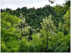 IMG_20180514_152602