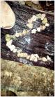 IMG-20181106-WA0001