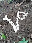 IMG-20181106-WA0002