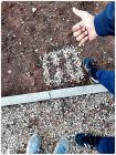 IMG-20181106-WA0003