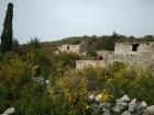 IMG-20200417-WA0029