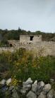 IMG-20200417-WA0031