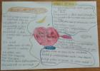 IMG-20200503-WA0003