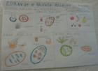 IMG-20200503-WA0005