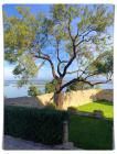 Batch_IMG-20201023-WA0071