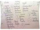 Batch_IMG_20230309_101312