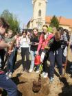 Dan Planeta Zemlje 2016 - Predmetna Nastava (12)